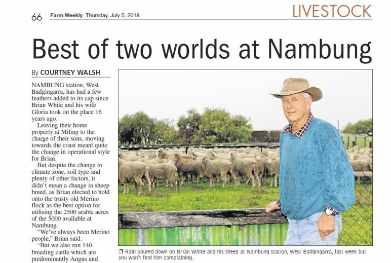 NEWS-BEST OF BOTH WORLDS